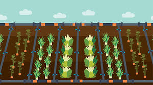 Maybe you would like to learn more about one of these? Drip Irrigation Fix Com