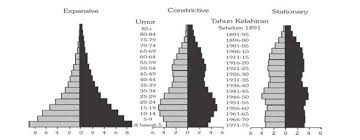 Piramida Penduduk Pengertian Ciri Fungsi Dan Jenisnya