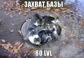 Смешные мемы с котами | Страница 2