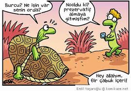 Karikaturr Ulen Beyinsiz Tosba 2020 Karikatur Komik