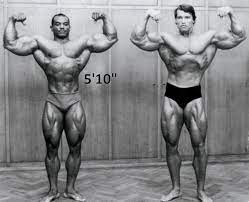 Though many have rumoured that arnold schwarzenegger's real height isn't 6'2 and that he's actually 5'10 is untrue. How Tall Is Arnold Schwarzenegger His Real Height Revealed
