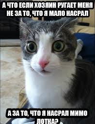 https://encrypted-tbn0.gstatic.com/images?q=tbn:ANd9GcRkmr_wmVSeAj87M0oPPn92_QTvOf4o6wF70uvC_7VEJTbYPZO9&amp;s