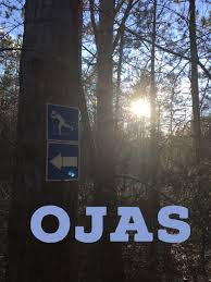Ojas Is The Beautiful Sanskrit Word That Explains The Essence Of Life It Is The Subtle Form Of Radiance Heath Immunity A Tantra Yoga Sanskrit Words Ayurveda