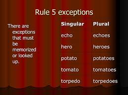 Plural Rules Ppt Video Online Download