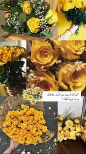 أصفر Yellow On Twitter علق بصوره فيها لون أصفر