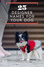 33 Designer Dog Names For Your Pampered Pooch Dogs Dog Names Dog Design