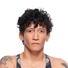 Jeremy Stephens vs Danny Downes