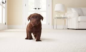 From gym clothes to cat pee, this carpet. Types Of Carpet The Home Depot