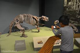 The Smithsonian National Museum Of Natural History The World Is A Book