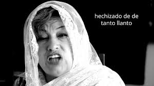 Los muros no dejan ver': Elkin Mesa