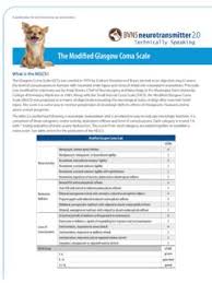 In this lesson we talk about the glasgow coma scale assessment or gcs. The Modified Glasgow Coma Scale Bvns Net The Modified Glasgow Coma Scale Bvns Net Pdf Pdf4pro