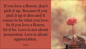 Osho quotes on life spiritual quotes quotes to live by positive quotes me quotes motivational quotes inspirational quotes inspirational words of encouragement osho hindi quotes. If You Love A Flower Don T Pick It Up Because If You Pick It Up