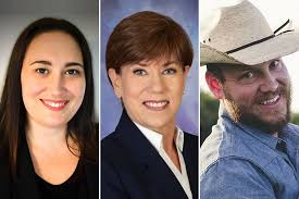 Comal County Commissioner, Precinct 1 Voter Guide (2020 General ...