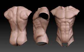 Deviantart is the world's largest online social community for artists and art. Male Torso Anatomy Male Torso Reference Pinterest Male Torso Human Anatomy Diagram Male Torso Male Torso Anatomy Man Anatomy