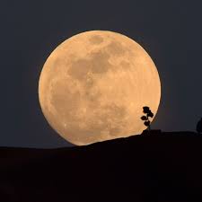 The full moon in sagittarius illuminates your 6th house of health, making you leave your comfort zone and think consciously about both your healthy and unhealthy habits. Halloween Full Moon Blue Moon What It Means
