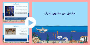 باور بوينت حقائق عن مخلوقات البحر اليوم