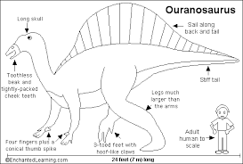 I went ahead and bought the secrets of dr. Ouranosaurus Printout Zoomdinosaurs Com