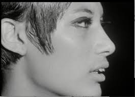 Antoine Alexander Auguste Frémy