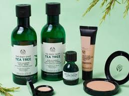Tea tree skin clearing toner. The Best Tea Tree Oil Beauty Products In 2020 The Body Shop And More
