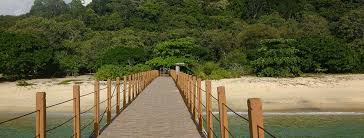 The park is about 390 km from kuala permit and license. Penang National Park Everything You Need To Know