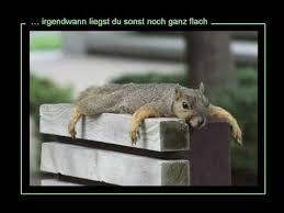Noch Ne Aufmunterung Youtube