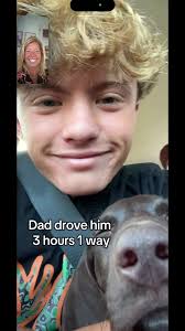 Meet the newest member of our family, sweet Annie 🐶  #germanshorthairedpointer #gsp #gsppuppy #gspsoftiktok #dogvideos  #fyppppppppppppppppppppppp