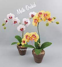 Moth Orchid Orchids Flower Video Tutorials Crochet Flowers Free Pattern
