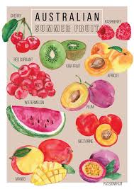 Food Illustration Australian Summer Fruit Guide Watercolour Illustration Print Hand Drawn Typography A4 Food Illustrations Fruit Illustration Summer Fruit