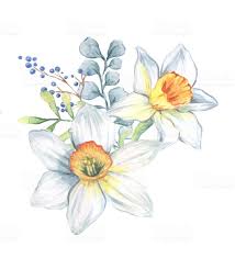 Pin By Meggie O Leary Lyons On Tattoo Ideas In 2020 Narcissus Tattoo Narcissus Flower Flower Illustration