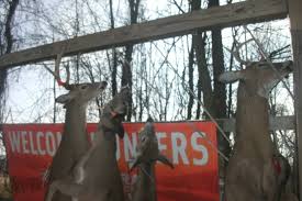 Maple River Hunt Club