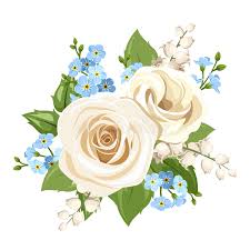 Fiori di ranuncolo rosa e bianchi. Fiori Bianchi E Blu Illustrazione Di Vettore Illustrazione Vettoriale Illustrazione Di Fiore Inglese 90669385