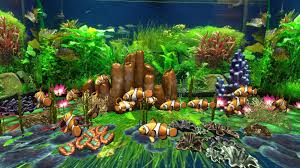 If you like aquarium fishes or beautiful colors this is wallpaper for you. 3d Ocean Fish Live Wallpaper Pro For Android Apk Download