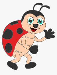 Share your videos with friends, family, and the world Cartoon Ladybug Clipart Cartoon Ladybug Hd Png Download Kindpng