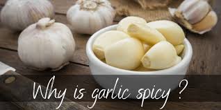 Look for green roots another way to determine if garlic has gone rancid is to check if. Why Is Garlic Spicy Here S Why And How To Tone It Down Foodiosity
