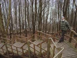 Letters From The North Mons Klint Outdoor Stairs Lake George Cabins Sloped Backyard