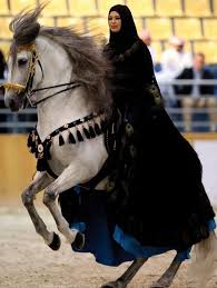 معلومات عن الخيول العربية مجموعة صور للخيول الأصيلة horses arabian beauty arabian horse