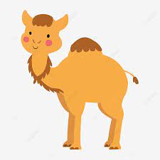 All of these water camel resources are for free download on pngtree. Cute Camel Cartoon Illustration Camel Clipart Cute Camel Camel Illustration Png And Vector With Transparent Background For Free Download