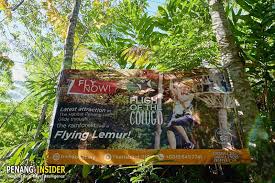 Ik heb de straattijd van penang hill 1 in 2013 bezocht, maar nu zijn er zoveel veranderingen bij bukit bendera en de meeste extractie is the habitat, het is zeer de. Flight Of The Colugo Penang Hill Zipline The Habitat Penang Insider