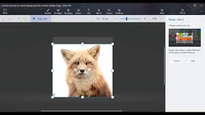 Paint 3d How To Remove White Background From A Picture To Make It Transparent Youtube