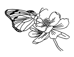 Hundreds of free spring coloring pages that will keep children busy for hours. Free Butterfly Coloring Pages Butterfly Visiting Flower