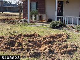 Holes in your backyard could be the openings to snake burrows. Who Made That Hole Gardening Solutions University Of Florida Institute Of Food And Agricultural Sciences