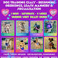 Dog Training Beginner Obedience and Leash Manners event image