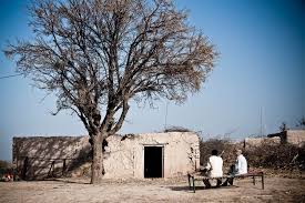 Pakistan Art Gallery Gallery Of Punjab Village Life Pakistani Photo Gallery Pakistan In Pakistan Art Village Life Village Houses