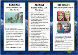 Sebenarnya, rumpai laut digunakan dalam diet orang asia dan juga dalam bidang perubatan sejak berkurun dahulu. Rumpai Laut Seaweed Photos Facebook