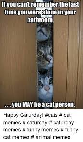 Anything to do with cats? If You Can T Remember The Last Time You Werealone Inyour Bathroom You May Be A Cat Person Happy Caturday Cats Cat Memes Caturday Caturday Memes Funny Memes