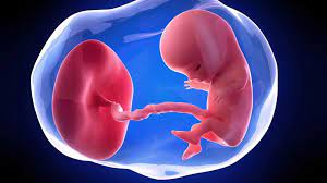 We did not find results for: Hamil 11 Minggu Ini Perkembangan Kondisi Janin Dan Ibu