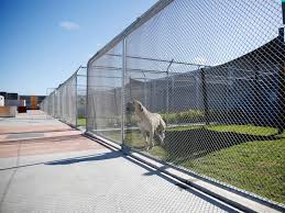 We did not find results for: Australia S Pet Quarantine Facility Petrelocation