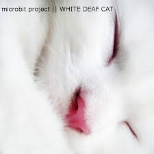 Download all our free cat images in one go bulk download over 380 images of cats free & royalty free pics of cats & kittens, pictures, paintings, grumpy cat, arctic cat, black cat, cat pic, pics of cats, kittens images, backgrounds, backing papers, wallpapers. Archive Org Download 07microbitprojectbutterfly