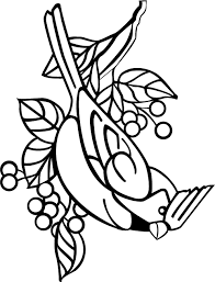Its resolution is 1136x1050 and with no background, which can be used in a variety of creative scenes. Cardinal Coloring Pages Novocom Top