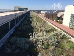 Usc Living Roof Green Roof Installation Green Roof University Of South